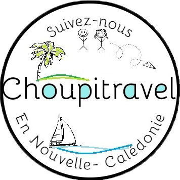 Choupitravel